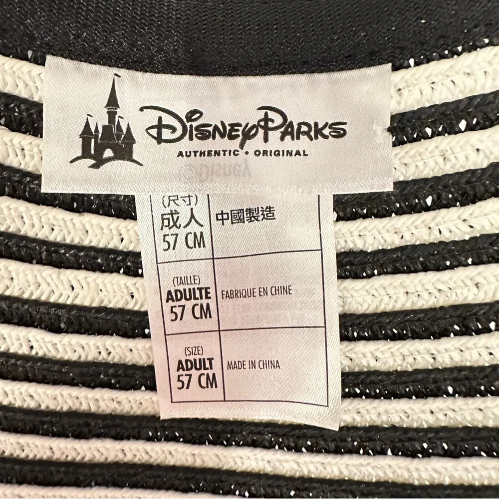 Disney this sun